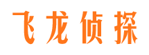 达县私人侦探